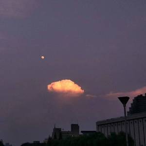 一区不卡二区卡
